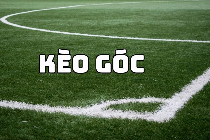 Phạt Góc Trong Bóng Đá: Hiểu Rõ Luật, Thuật Ngữ và Các Yếu Tố Ảnh Hưởng